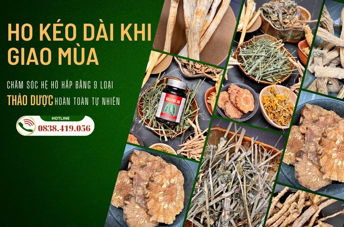 Chăm sóc lá phổi khi giao mùa